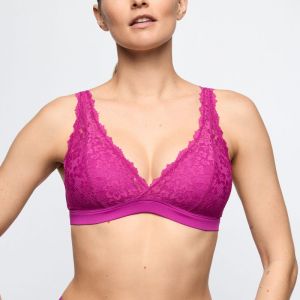 SOFT STUDIO WIR wild rose